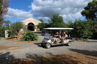 Les Cabanes dans les bois