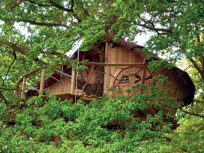 Domaine AbracadaRoom : Manoir de l'Alleu - Image 11