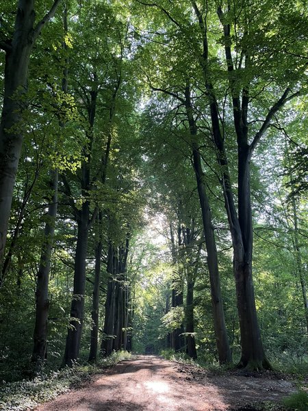Domaine AbracadaRoom : Fontaine Châtel - Image 4