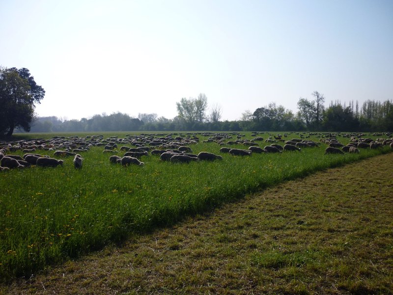 Domaine AbracadaRoom : Mon Lodge en Provence - Image 10