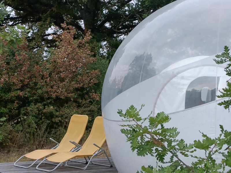 Hébergement AbracadaRoom : Reine des prés - Image 12