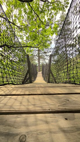 Hébergement AbracadaRoom : Épine Vinette & Spa - Image 16