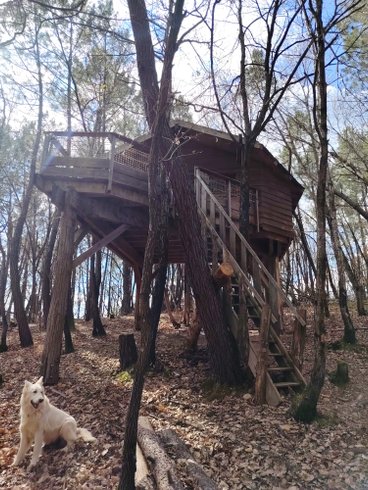 Hébergement AbracadaRoom : Cabane Murmure de Feuilles – Une parenthèse suspendue au cœur de la nature - Image 4