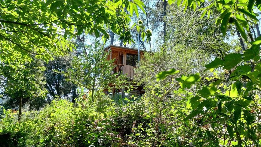 Hébergement AbracadaRoom : La Cabane sur pilotis - Image 5