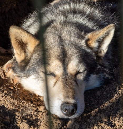 Domaine AbracadaRoom : Esprit du Nord - Image 33