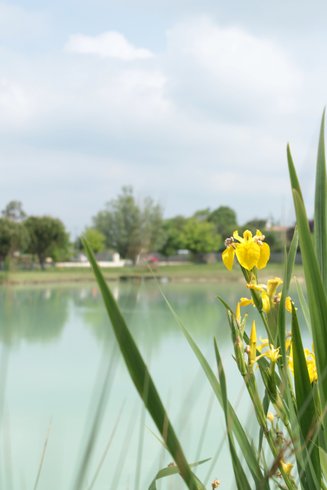 Domaine AbracadaRoom : Shanti Lac - Image 37