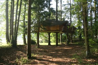 Cabane dans les arbres Ille-et-Vilaine