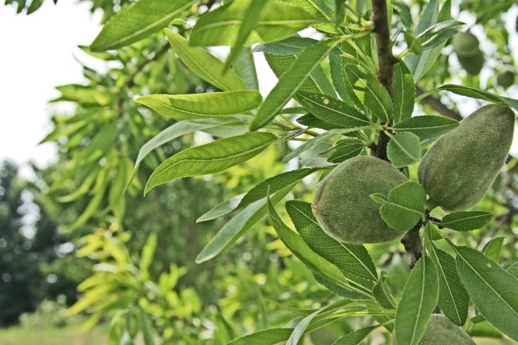 Domaine AbracadaRoom : La Ferme Naturelle - Image 2