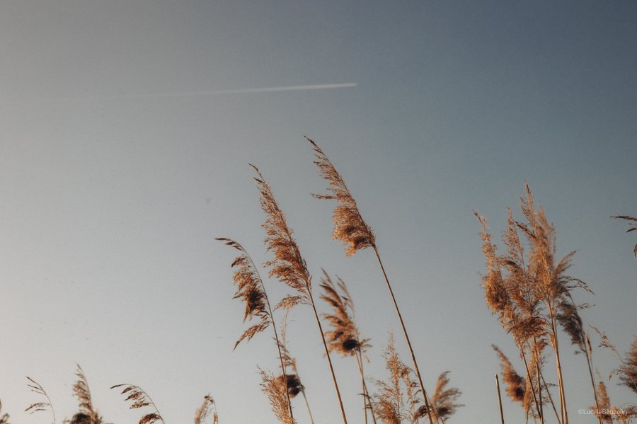 Domaine AbracadaRoom : Homnest (Villeneuve) - Image 35