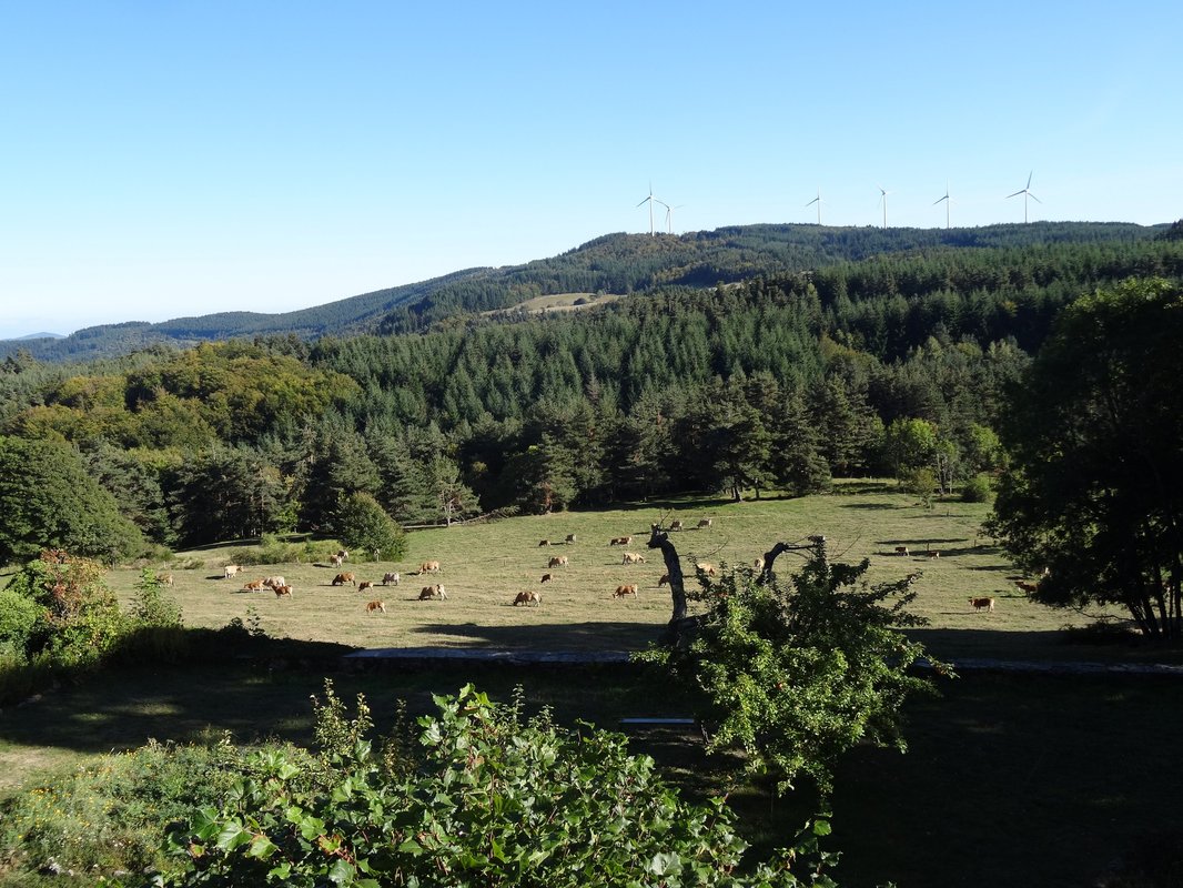 La Cabane des Fayards à Saint Agrève (6)