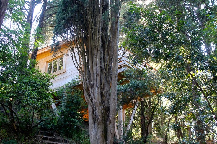 Hébergement AbracadaRoom : Cabane Mazet - Image 1