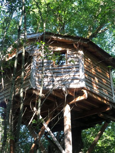Hébergement AbracadaRoom : Cabane Ecureuil - Image 5