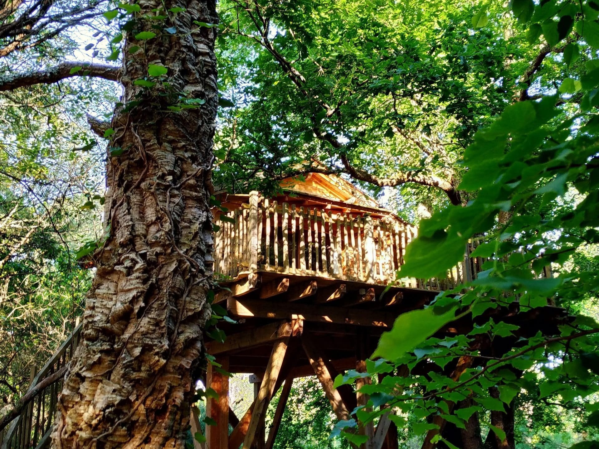 La Cabane Perchée d'Hossegor & Spa