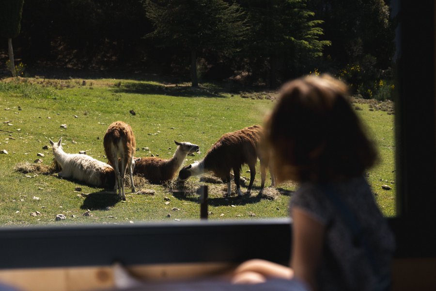 Hébergement AbracadaRoom : Parcel Tiny House - au pied du Mont Ventoux - Image 2