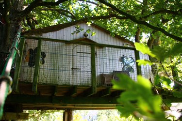 Cabane Chouette à Hénanbihen (1)