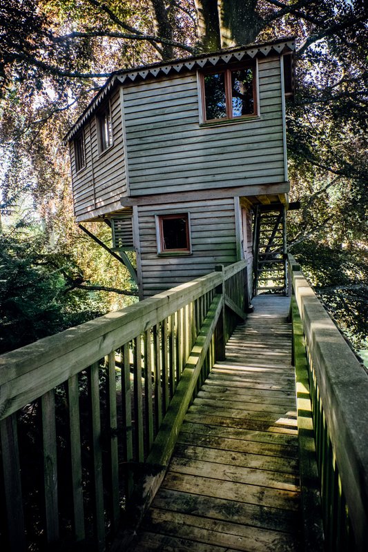 Cabane perchée la Canopée à Chigny-Les-Roses (2)