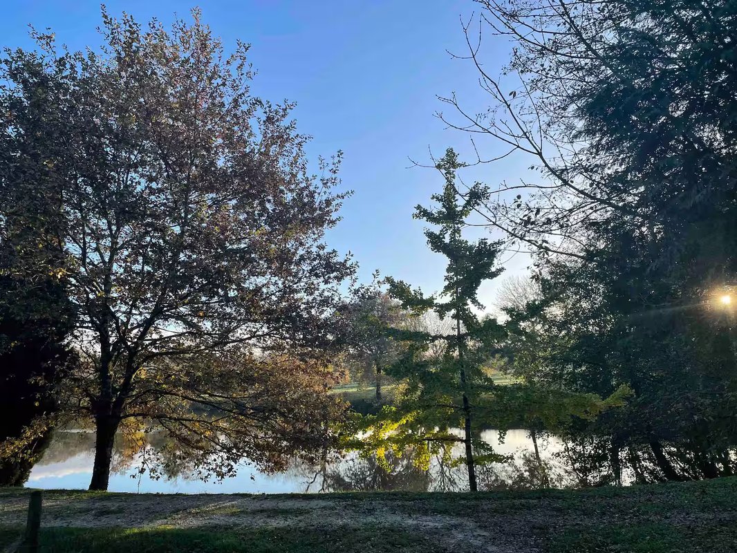 Dôme géodésique 8 personnes et son lac privé à Sadirac (19)