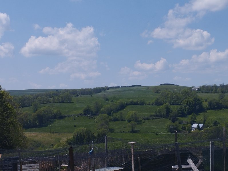 Hébergement AbracadaRoom : La Roulotte  Romantique du P'tit Buron - Image 13