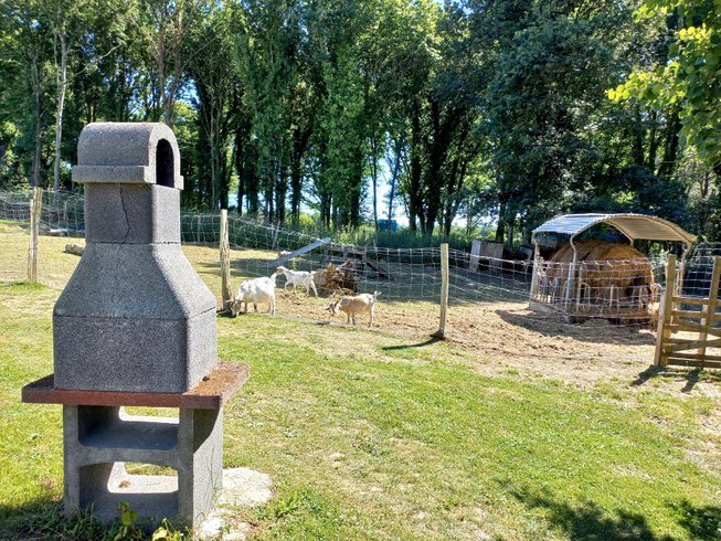 Domaine AbracadaRoom : Camping des Cerisiers - Image 8