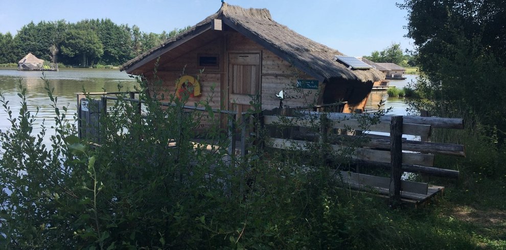 Hébergement AbracadaRoom : Cabane Duo flottante Oiseau du Paradis - Image 5