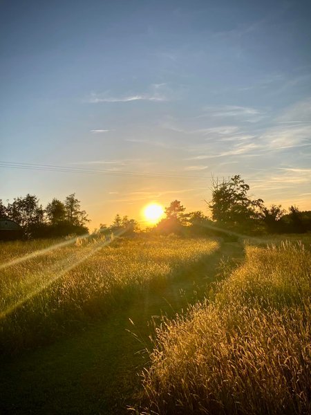 Domaine AbracadaRoom : Le Ranch Camping et Glamping - Image 8