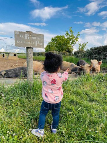 Domaine AbracadaRoom : Tiny House La Chèvrerie - Image 10