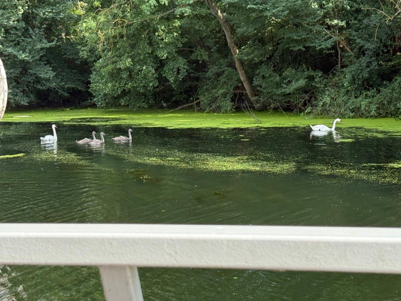 Domaine AbracadaRoom : Péniche sur la Seine - Image 15