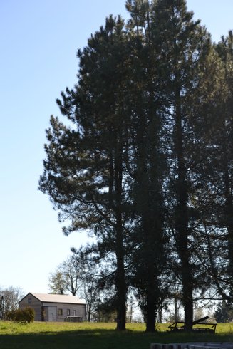 Hébergement AbracadaRoom : Cabane de l'Ecureuil & Bain nordique - Image 7