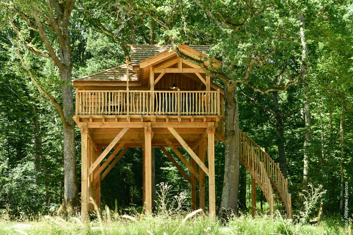 vue extérieure-cabane dans les arbres-séjour insolite-en famille-centre-abracadaroom
