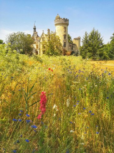 Domaine AbracadaRoom : Château de la Mothe Chandeniers - Image 3