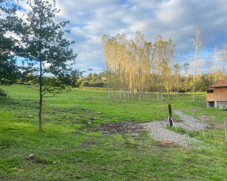 Hébergement AbracadaRoom : La Clairière de Peylenc - Refuge en Velay - Image 13