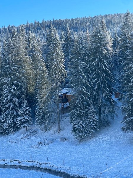 Hébergement AbracadaRoom : Cabane La Cébriot & Spa & Sauna - Image 12