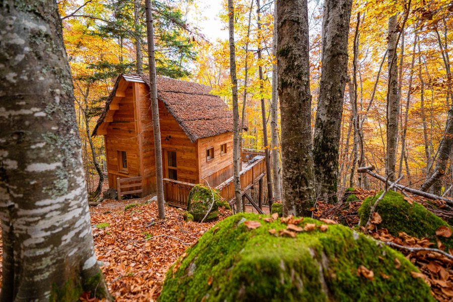 Domaine AbracadaRoom : Les Cabanes Enchantées - Image 17