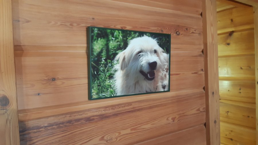 Hébergement AbracadaRoom : Le chalet du Berger - Image 3