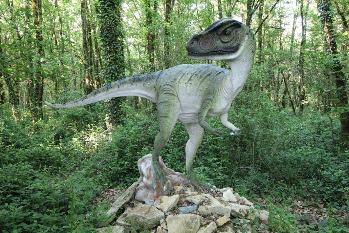 Cabane Perchée Jurassic à Lavaurette (10)