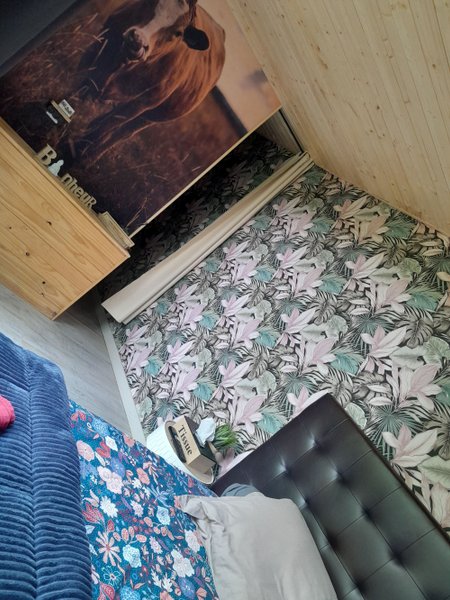 Hébergement AbracadaRoom : Gîte Spa Amazonia en pleine nature - Image 13