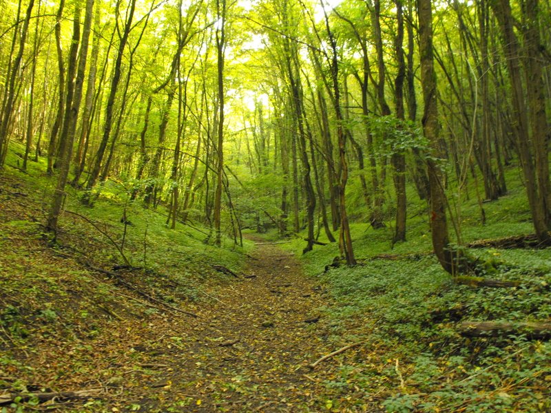 Domaine AbracadaRoom : Domaine Saint Christophe -  Un Lit au Pré (A supprimer) - Image 8