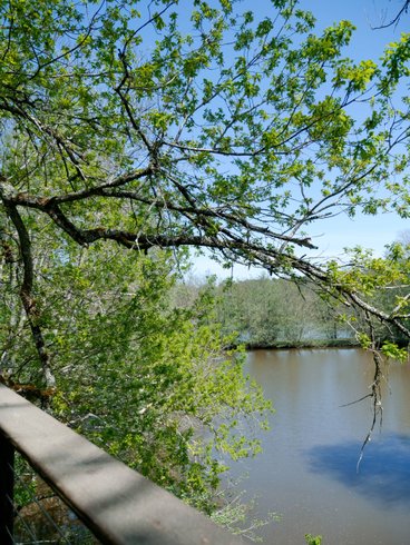 Hébergement AbracadaRoom : Notre Cabane perchée & son lac privé - Image 11