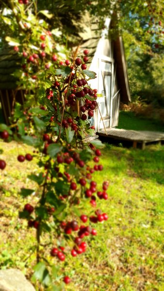 Hébergement AbracadaRoom : La Casa Mirabilia - Image 2