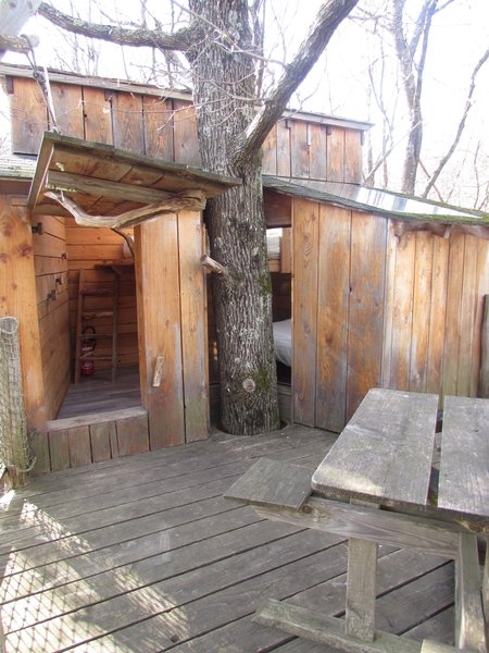 Hébergement AbracadaRoom : Cabane Coquille - Dormir sous les étoiles - Image 7