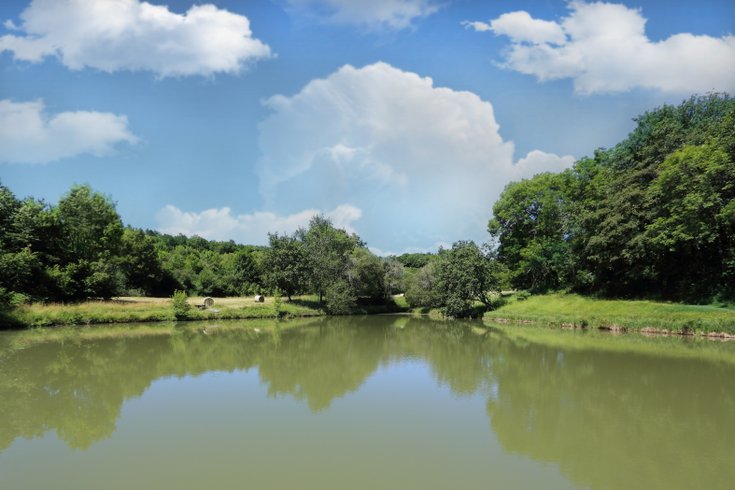 Domaine AbracadaRoom : La Mandrélie - Image 3