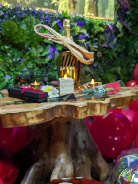 Hébergement AbracadaRoom : Nuit insolite avec Spa, sauna et jardin privatifs immersion en AMAZONIE - Image 20