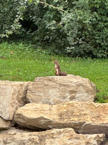 Hébergement AbracadaRoom : Mon Cabanon - Image 11