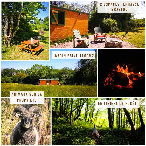 Domaine AbracadaRoom : Roulotte et Forêt : Evasion bohème en Bourgogne - Image 4