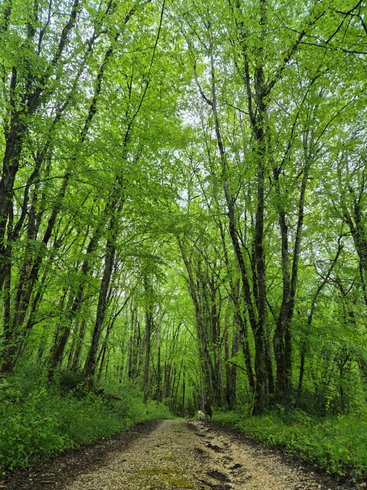 Hébergement AbracadaRoom : La Cabane du Héron, lodge sur pilotis, étang, nature, biodiversité - Image 18