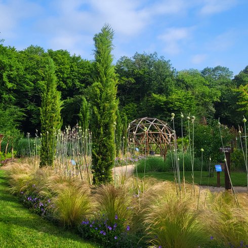 Domaine AbracadaRoom : Ô Pays des bois - Image 10