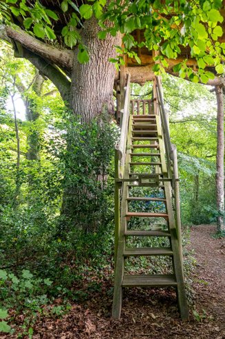 Hébergement AbracadaRoom : Cabane Rouge Gorge - Image 3