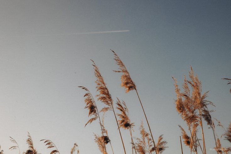 Hébergement AbracadaRoom : L'Etang des P'tits Plaisirs -Refuge en nature 2 - Image 38