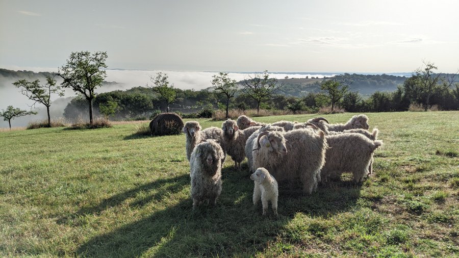 Hébergement AbracadaRoom : Espace TULIPA - Image 16