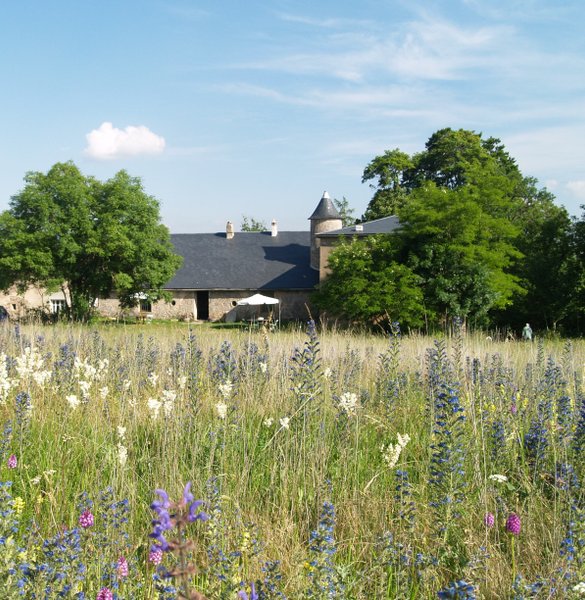 Domaine AbracadaRoom : Domaine de Pradines - Image 1